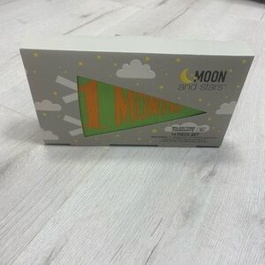 Moon and Stars Milestone Pennant Set - Vibrant Green